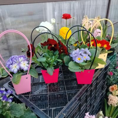 Прикрепленное изображение: IMG_20240226_130019_578.jpg